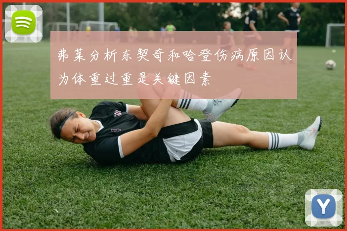 弗莱分析东契奇和哈登伤病原因认为体重过重是关键因素